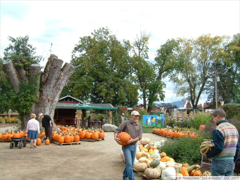 Visited my parents in Oregon:  Sept. - Oct., 2013 -- Sept. 28, Farmers Market, Medford